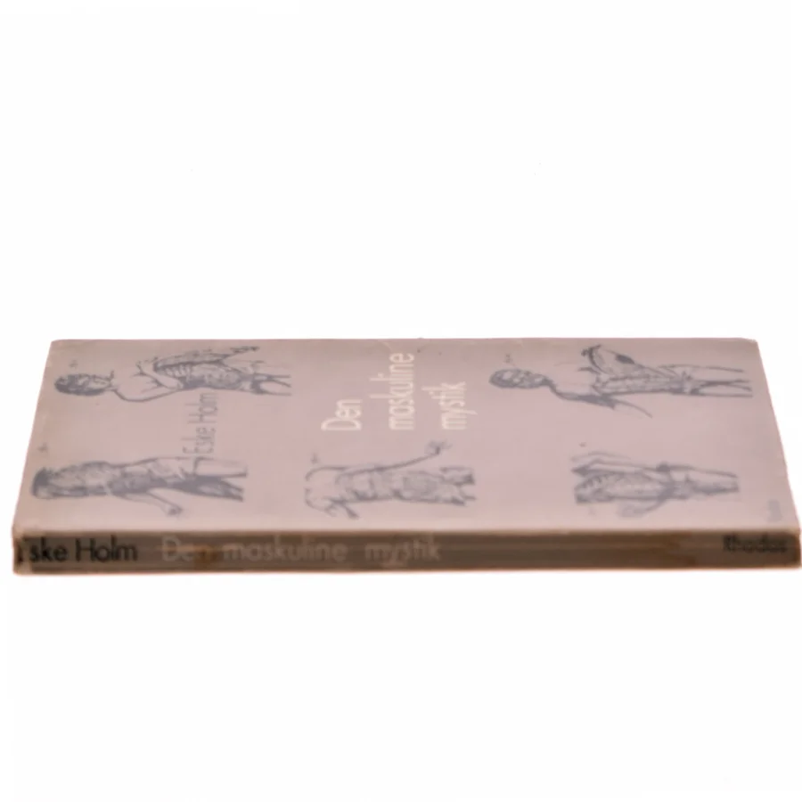 Den maskuline mystik af Eske Holm (Bog)