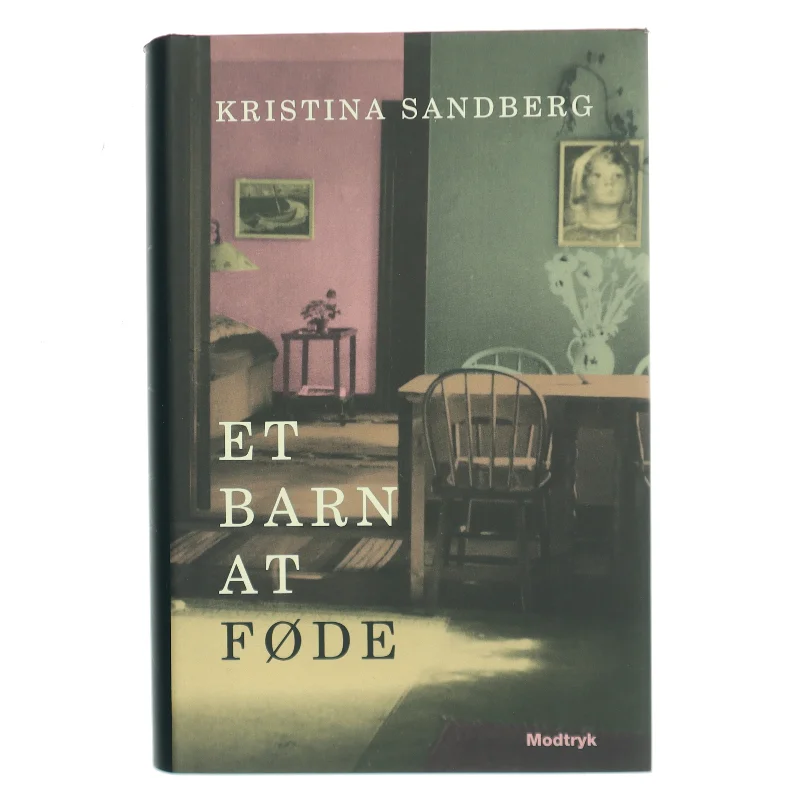 Et barn at føde af Kristina Sandberg (Bog)