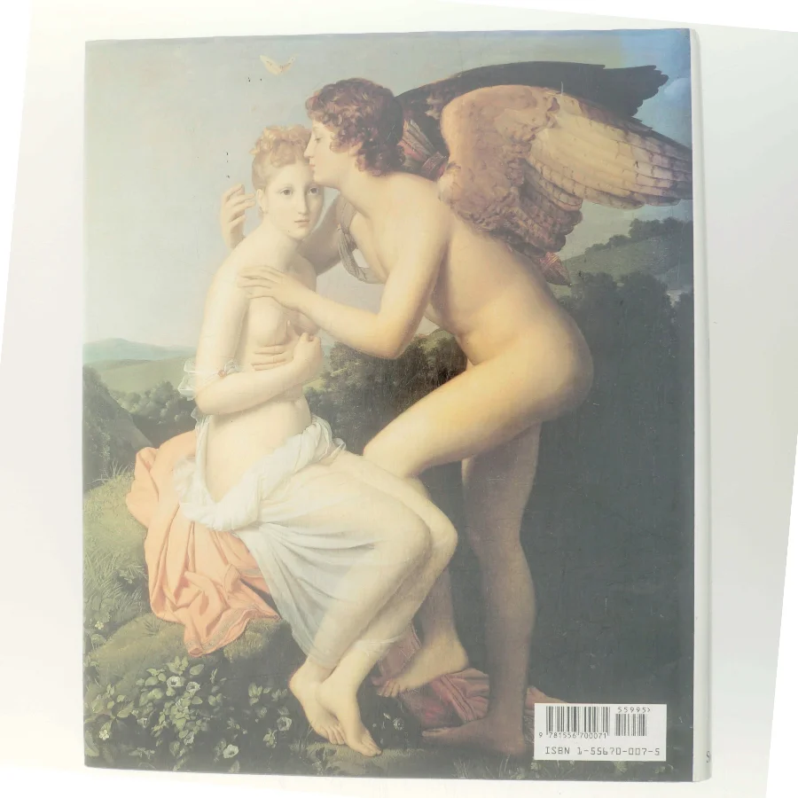 Paintings in the Louvre af Lawrence Gowing (Bog)