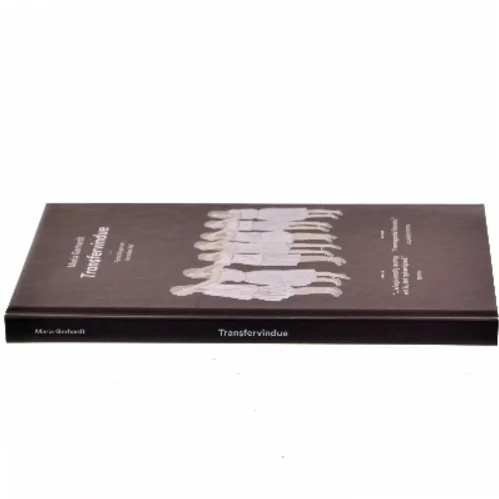 Transfervindue : fortællinger om de raskes fejl af Maria Gerhardt (f. 1978) (Bog)