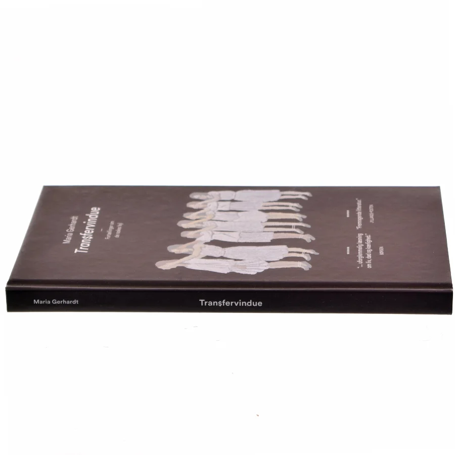 Transfervindue : fortællinger om de raskes fejl af Maria Gerhardt (f. 1978) (Bog)