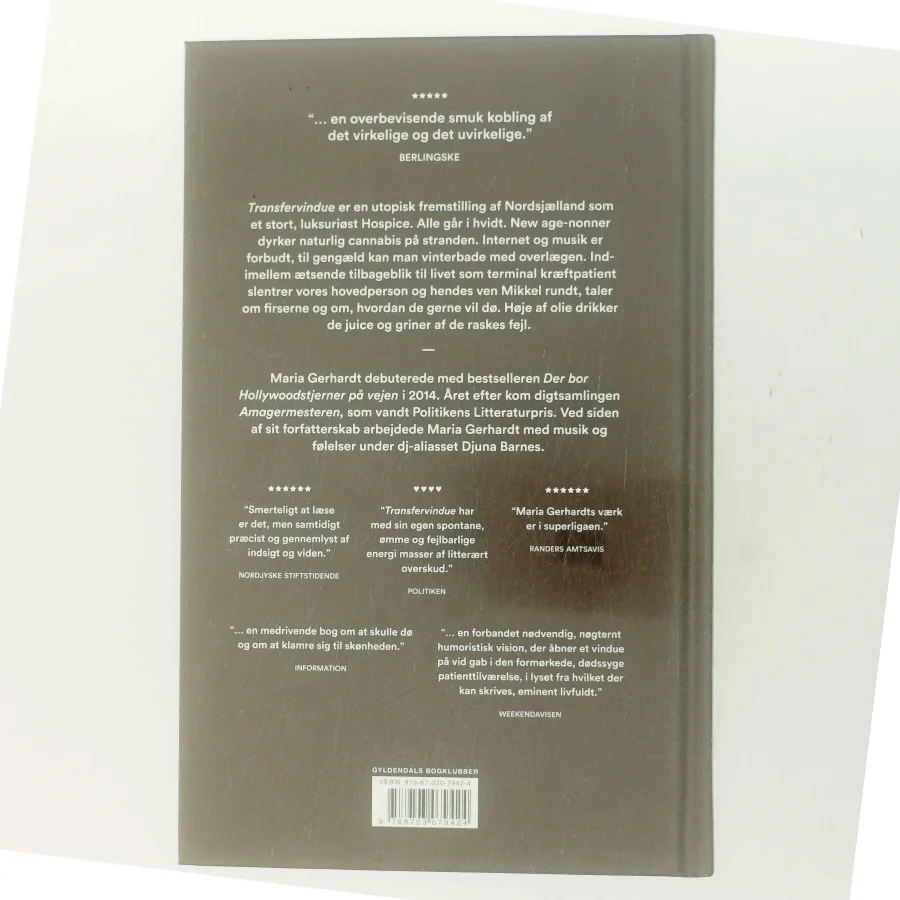 Transfervindue : fortællinger om de raskes fejl af Maria Gerhardt (f. 1978) (Bog)