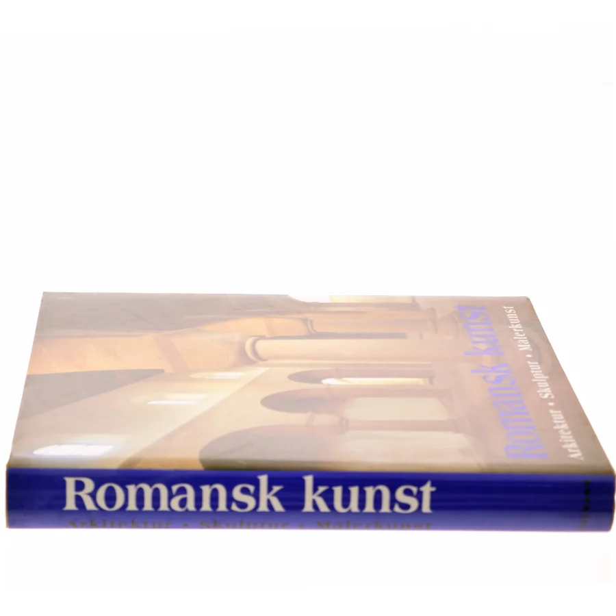 Romansk kunst : arkitektur, skulptur, malerkunst af Rolf Toman (Bog)