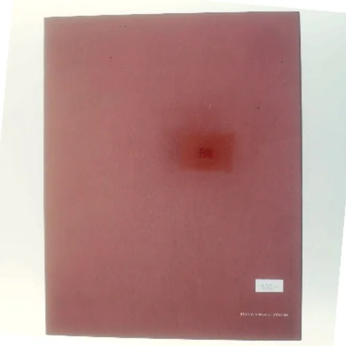 Petrus Christus: Renaissance Master of Bruges af The Metropolitan Museum of Art (Bog)