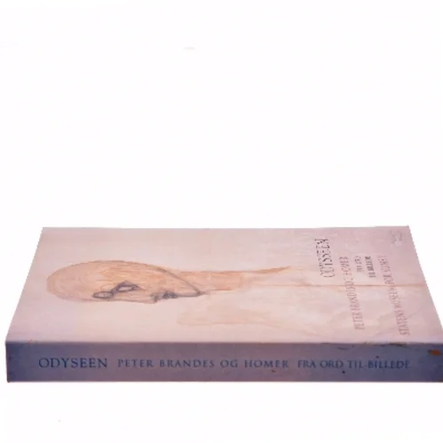 Odysseen af Peter Brandes (Bog)