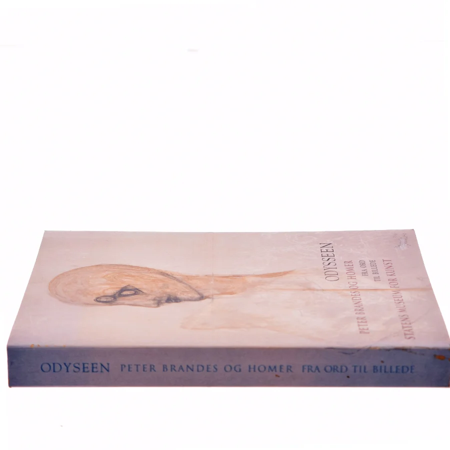 Odysseen af Peter Brandes (Bog)