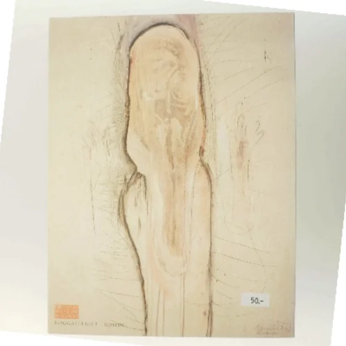 Odysseen af Peter Brandes (Bog)