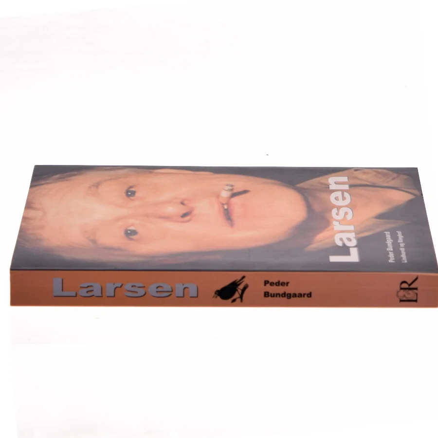 Larsen af Peder Bundgaard (Bog)