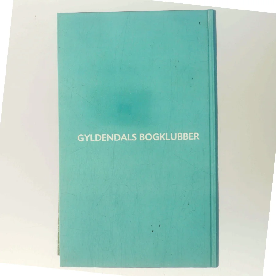 Dansk Kunst af Hans Edvard Nørregård-Nielsen (Bog)