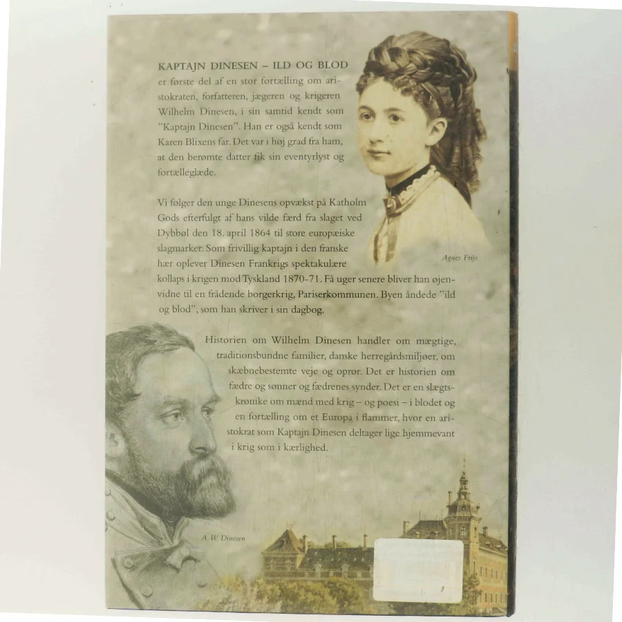 Kaptajn Dinesen - Ild og Blod af Tom Buk-Swienty (Bog)