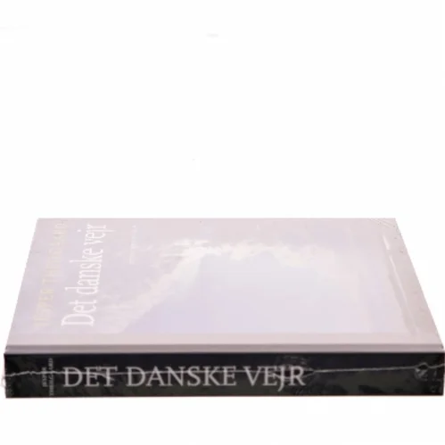 Det danske vejr af Jesper Theilgaard (Bog)