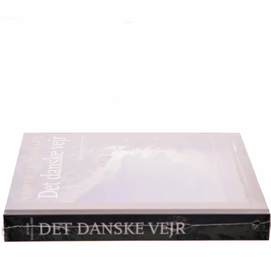 Det danske vejr af Jesper Theilgaard (Bog)