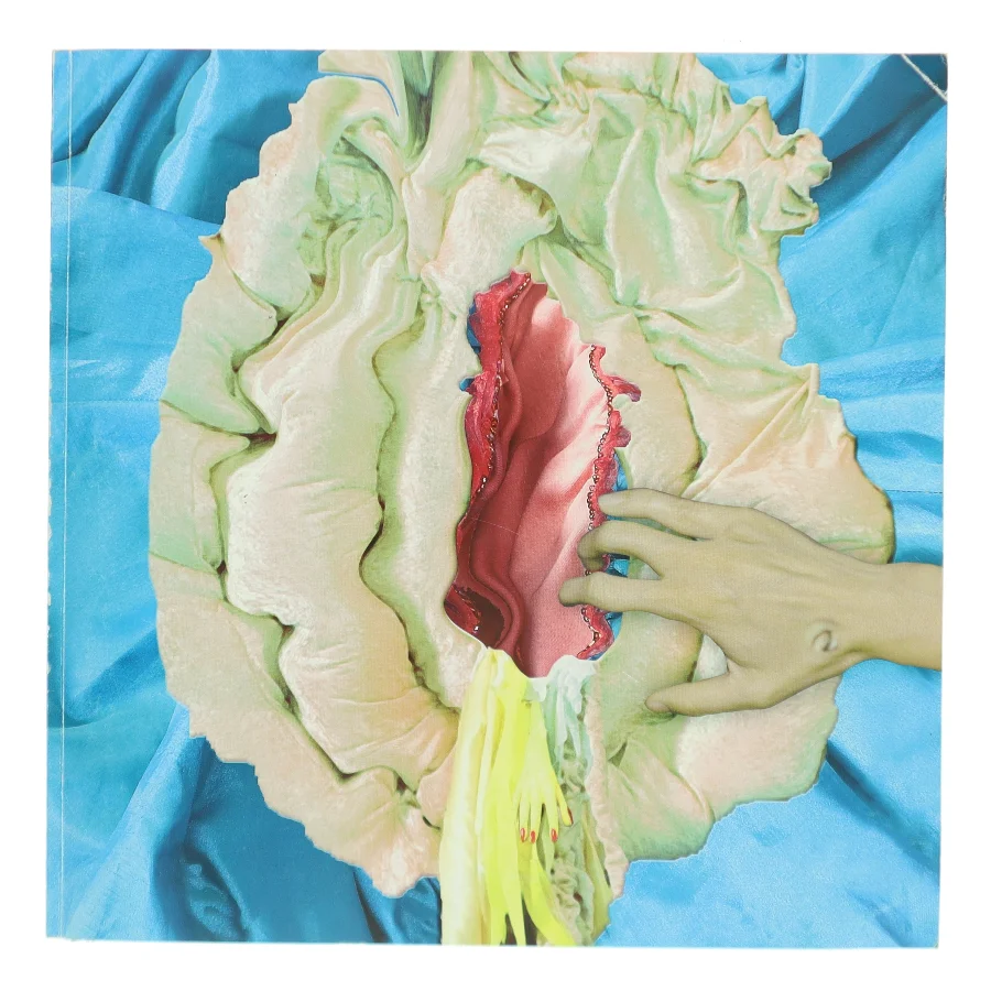 Ny dansk kunst : Kopenhagen årbog 05/06 (Bog)