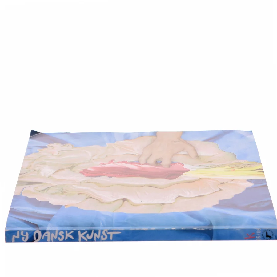 Ny dansk kunst : Kopenhagen årbog 05/06 (Bog)