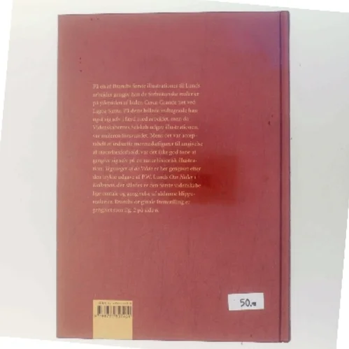 Den forsvundne maler : P.W. Lund og P.A. Brandt i Brasilien (Bog)