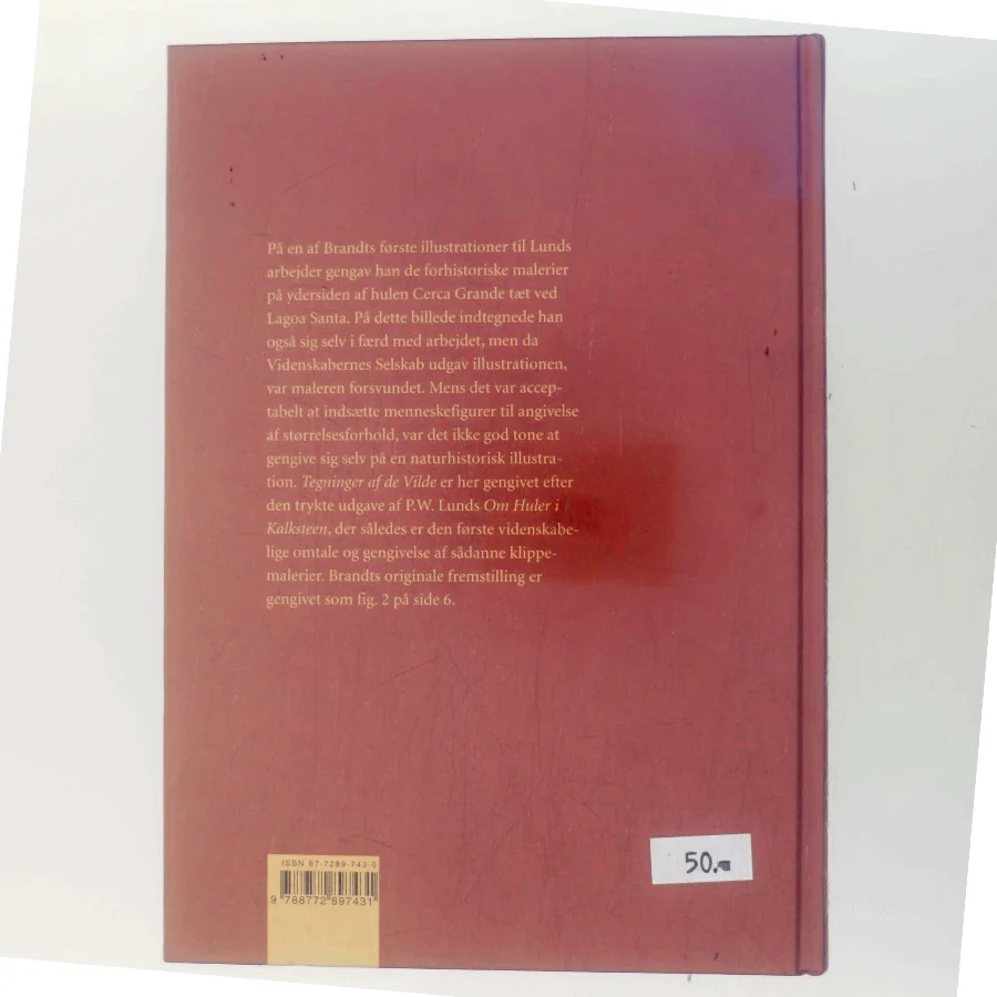 Den forsvundne maler : P.W. Lund og P.A. Brandt i Brasilien (Bog)