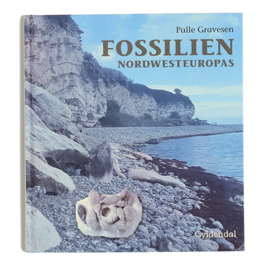 Fossilien Nordwesteuropas af Palle Gravesen (Bog)