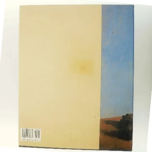 American Painting af Donald Goddard (Bog)