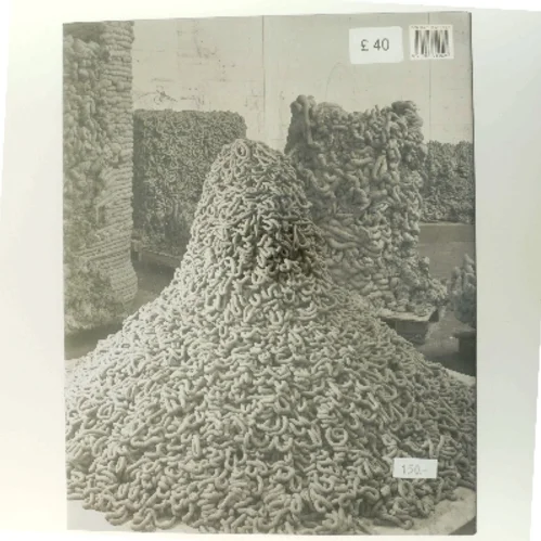 Anish Kapoor af Anish Kapoor (Bog)