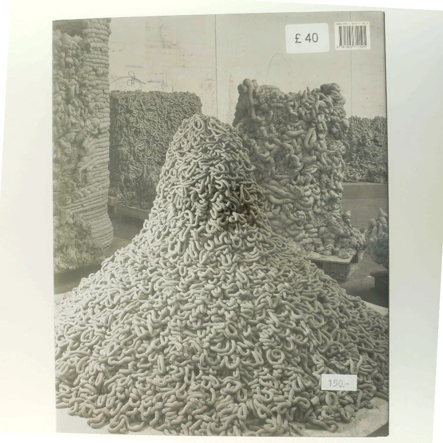 Anish Kapoor af Anish Kapoor (Bog)