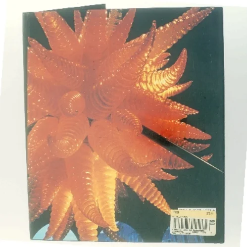 Chihuly af Donald B. Kuspit (Bog)