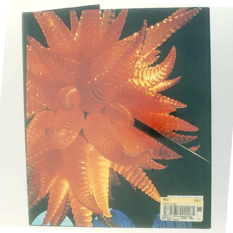 Chihuly af Donald B. Kuspit (Bog)