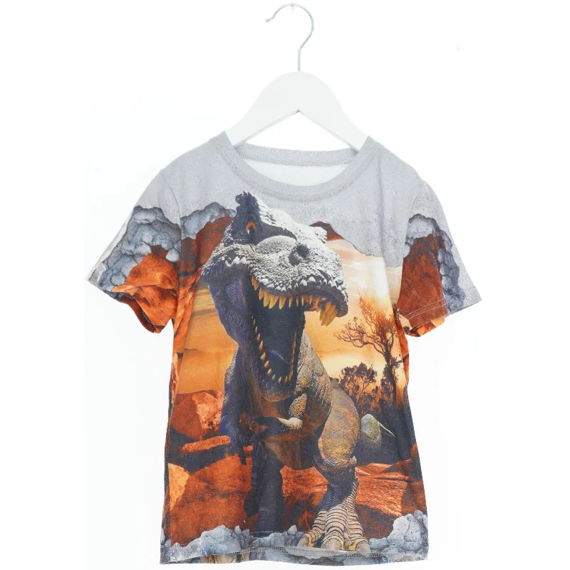 T-shirt med dinosaur motiv (str. 116)