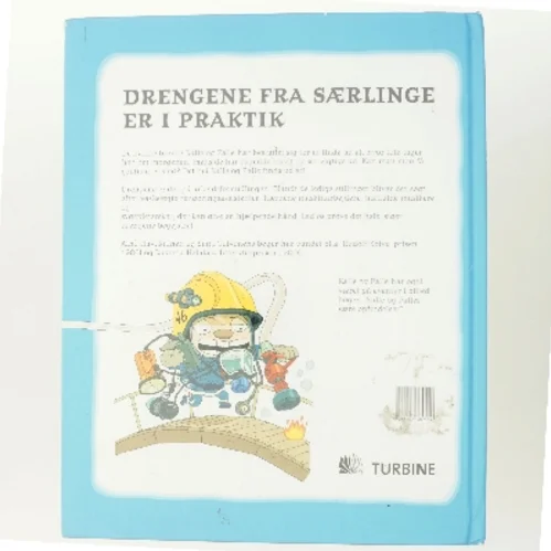 Kalle & Palle på arbejde (Bog)