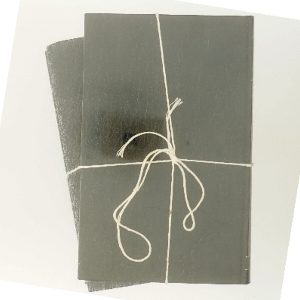 Mit livs eventyr af Hans Christian Andersen (begge bind)