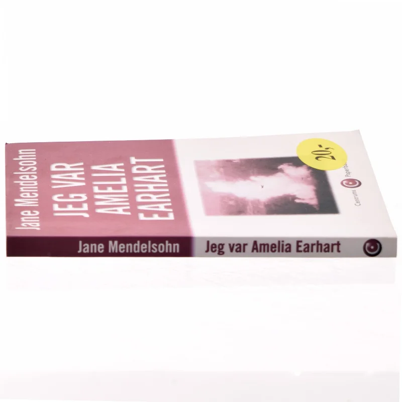 Jeg var Amelia Earhart : roman af Jane Mendelsohn (Bog)