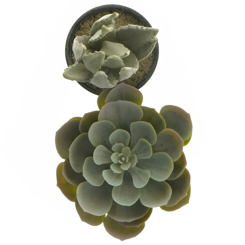 Dekorative kunstige planter i sorte potter fra IKEA (str. 12 cm og 19 cm)