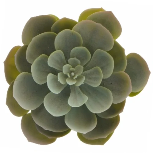 Dekorative kunstige planter i sorte potter fra IKEA (str. 12 cm og 19 cm)