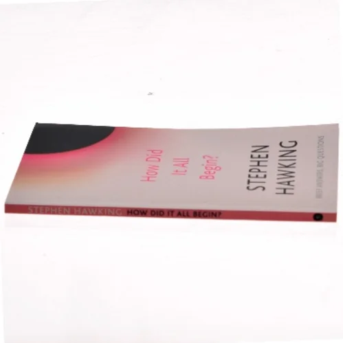 How Did It All Begin? af Stephen Hawking (Bog)