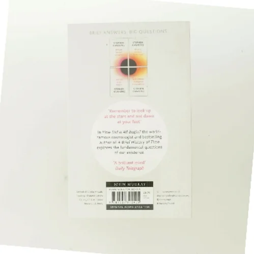 How Did It All Begin? af Stephen Hawking (Bog)