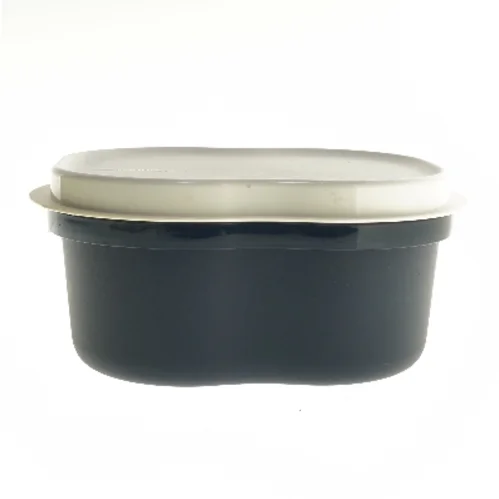 Opbevaringsboks med låg fra Tupperware til bl.a knækbrød  (str. 27x20x13 cm)