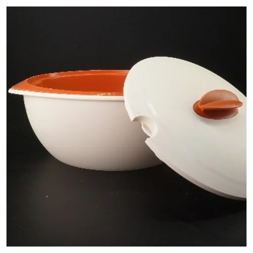 Tuppervare serveringsskål med låg (str. 32x12,5 cm)