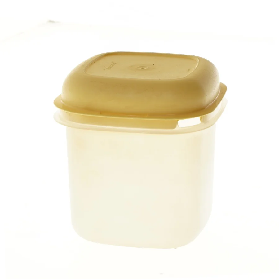 Tuppervare Plastik opbevaringsboks med låg (str. 15 cm)