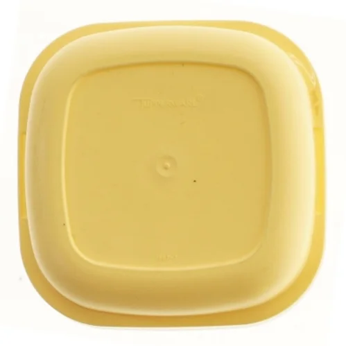 Tuppervare Plastik opbevaringsboks med låg (str. 15 cm)