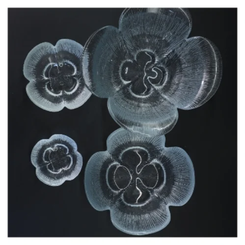 Fire glasskåle (str. Ø 21x10& ø17x7&ø12x5&ø8x3 cm)