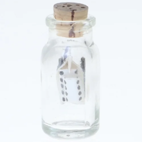 Skib i en flaske (str. 5 cm)