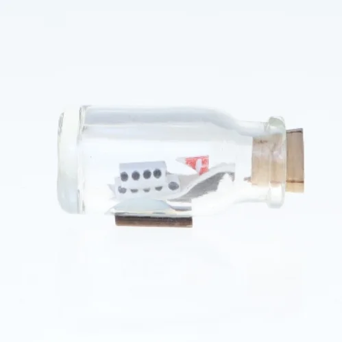 Skib i en flaske (str. 5 cm)