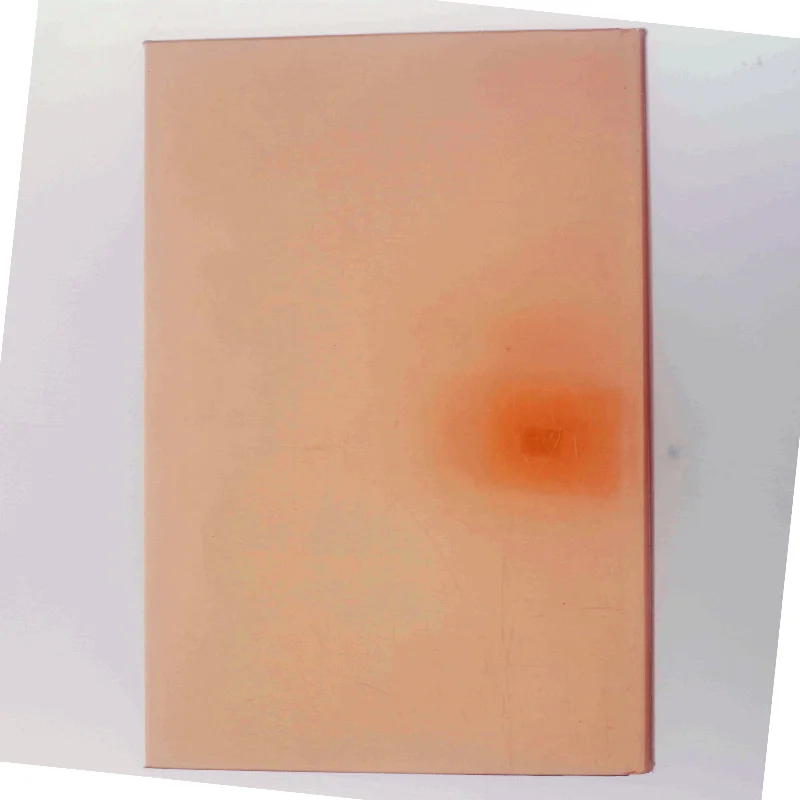 A Collector's Guide to Tea Silver 1670-1900 af Elizabeth de Castres (Bog)