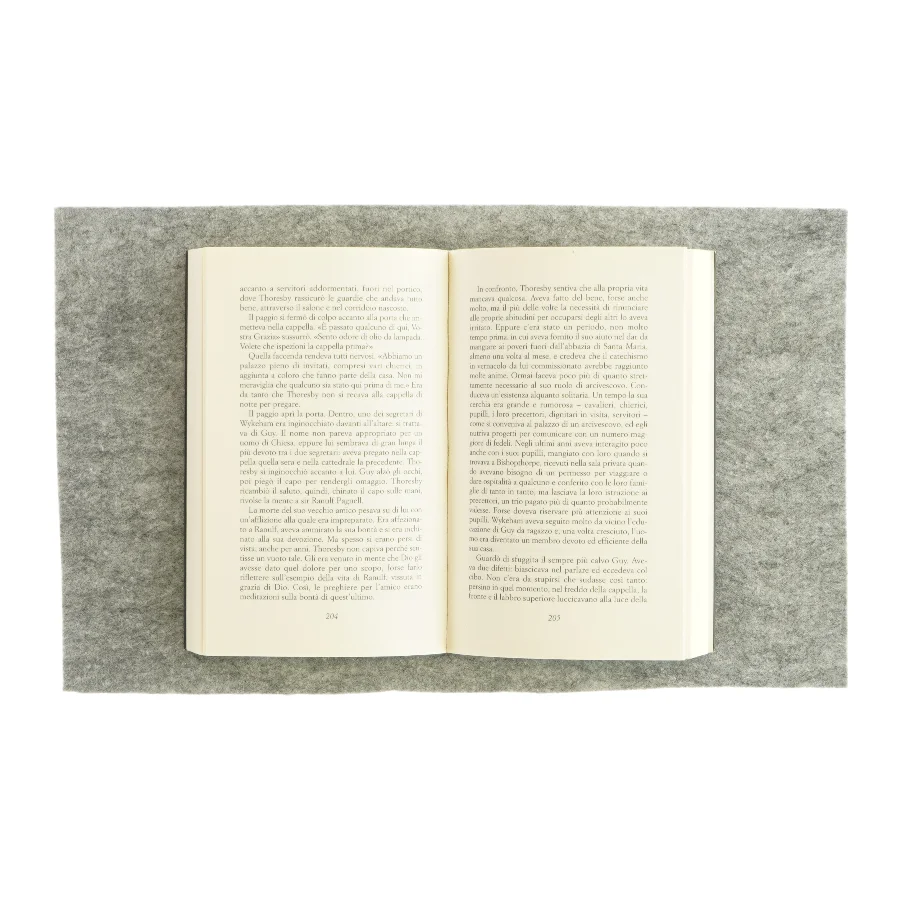 Il cavaliere assassinato af Candace Robb (bog)