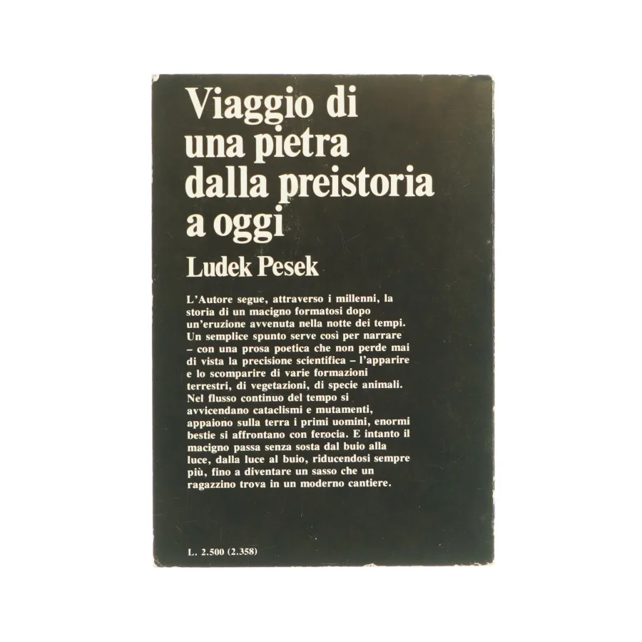 Viaggio di una pietra dalla preistoria a oggi af Ludek Pesek (bog)