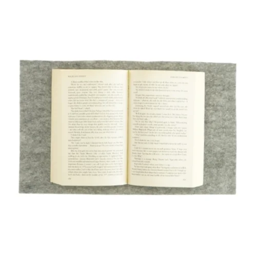 Enlightenment af Maureen Freely (bog)