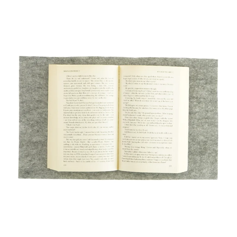 Enlightenment af Maureen Freely (bog)