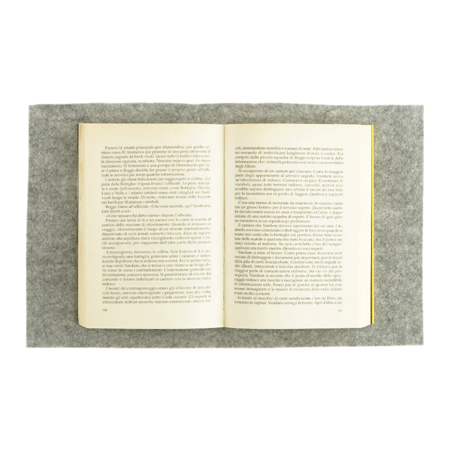 Il condice Rebecca af Ken Follett (bog)