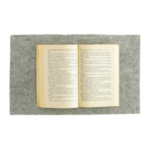 Not that sort of girl af Mary wesley (bog)