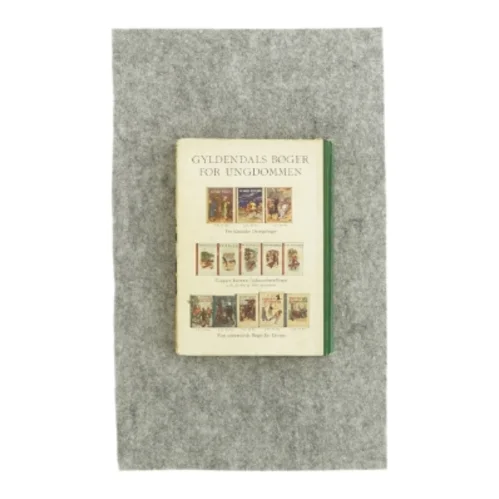 Münchhausens rejser og eventyr (bog)