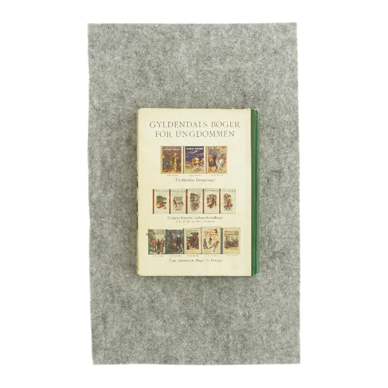 Münchhausens rejser og eventyr (bog)